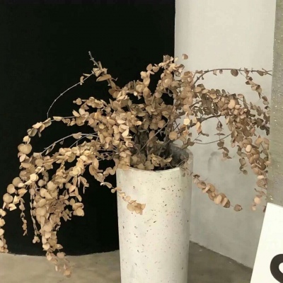 兽设天空场景绘制Furry群